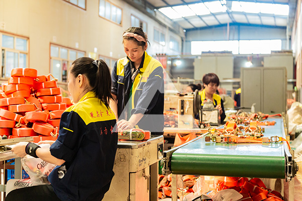 辰力集团 吊装带生产厂家